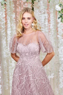 Midi Dresses^* Embroidered Mesh Midi Dress Blush