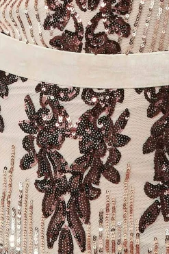 Maxi Dresses^* Long Sleeve Sequin Evening Maxi Dress Champagne