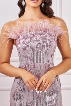 Maxi Dresses^* Sequin And Feather Boobtube Maxi Blush