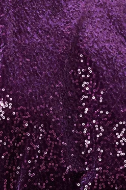 Jumpers^* Sequin Velvet Jumper Purple