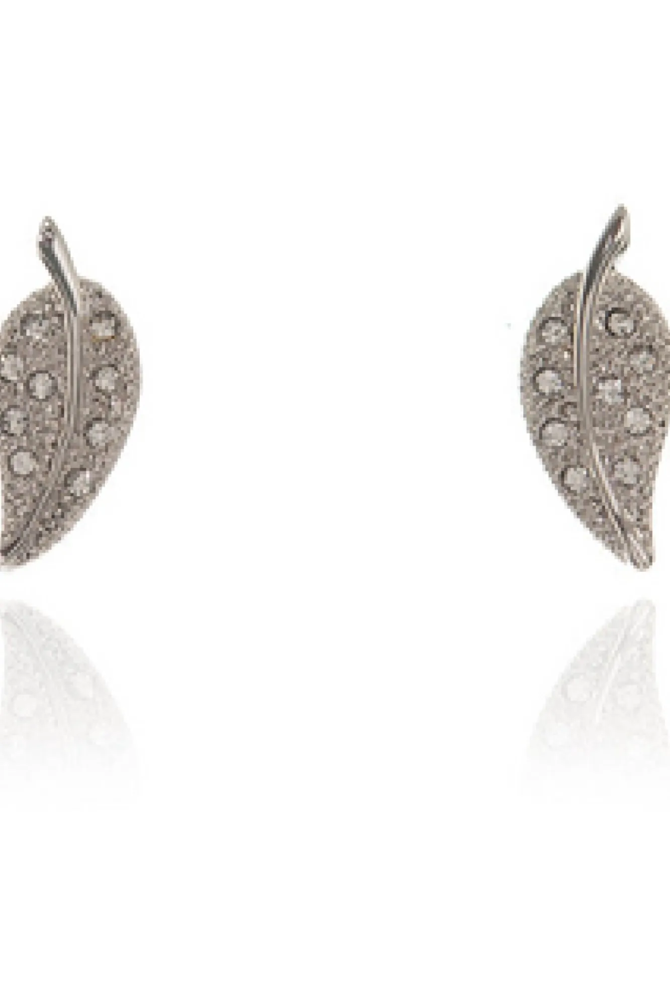 Jewellery^Cachet London Leafy Earrings Platinum Plated Silver