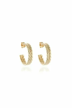 Jewellery^Cachet London Oletta 2Cm Hoop Earrings Gold