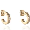 Jewellery^Cachet London Saga 12Mm Hoop Earrings 18Ct Plated Gold