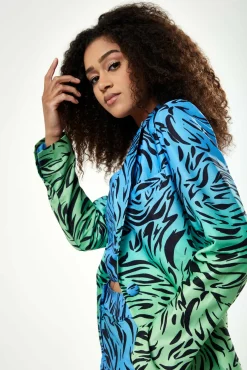 Outerwear^Liquorish Zebra Print Ombre Blazer In Blue And Green Bluegreen