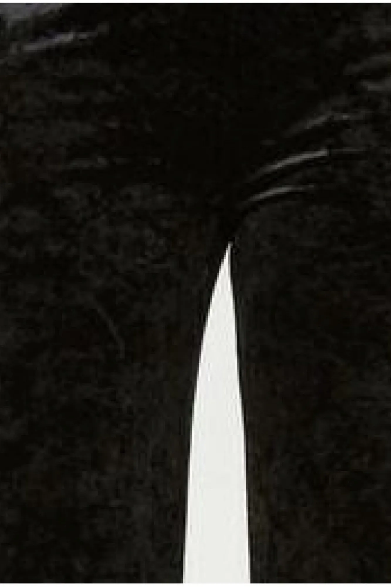 Trousers^Yumi Crinkle Velvet Trousers With Pocket Black